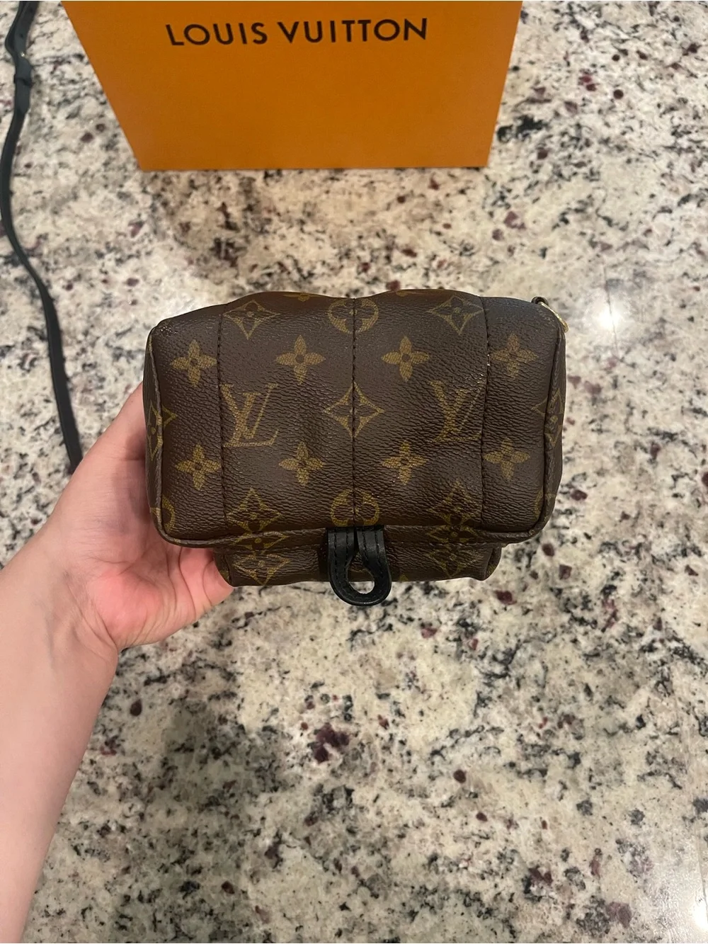 Louis Vuitton Monogram Mini Backpack in Brown and Gold
